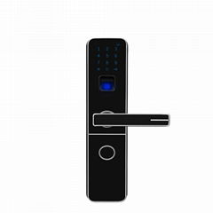 Zinc Alloy Intelligent Fingerprint Password Door Lock