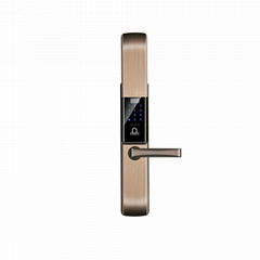 Luxury Multi-function Fingerprint Password Door Lock with Sliding Clousure