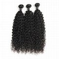 8A Brazilian Water Wave Human Virgin Hair Weave 3 Bundles With Lace Closure 1
