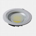 LED Down Light 1