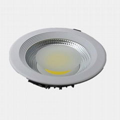 LED Down Light