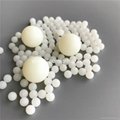 Nylon Solid plastic balls PA6 PA66 good resistance plastic balls  2