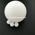 5mm 6mm 9mm Nylon Solid plastic balls PA6 PA66 balls 10mm 15.875mm