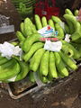 Fresh Cavendish Banana 3