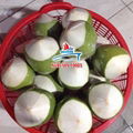 Fresh Coconut 2