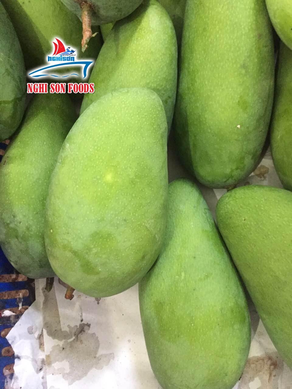 Fresh Mango 3