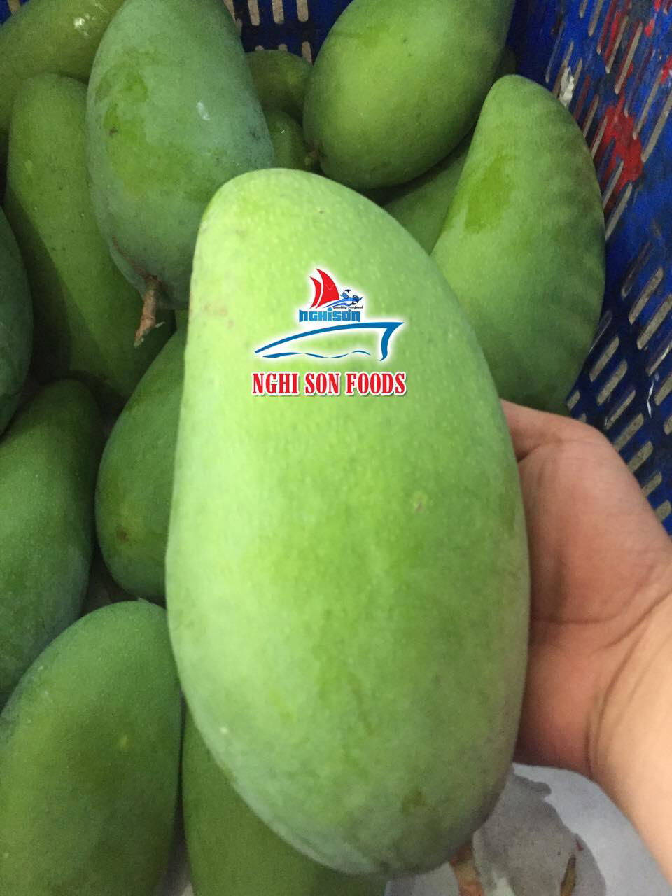 Fresh Mango 4