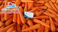 Carrots