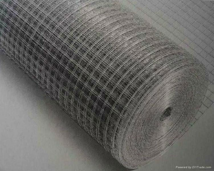 welded wire mesh 2