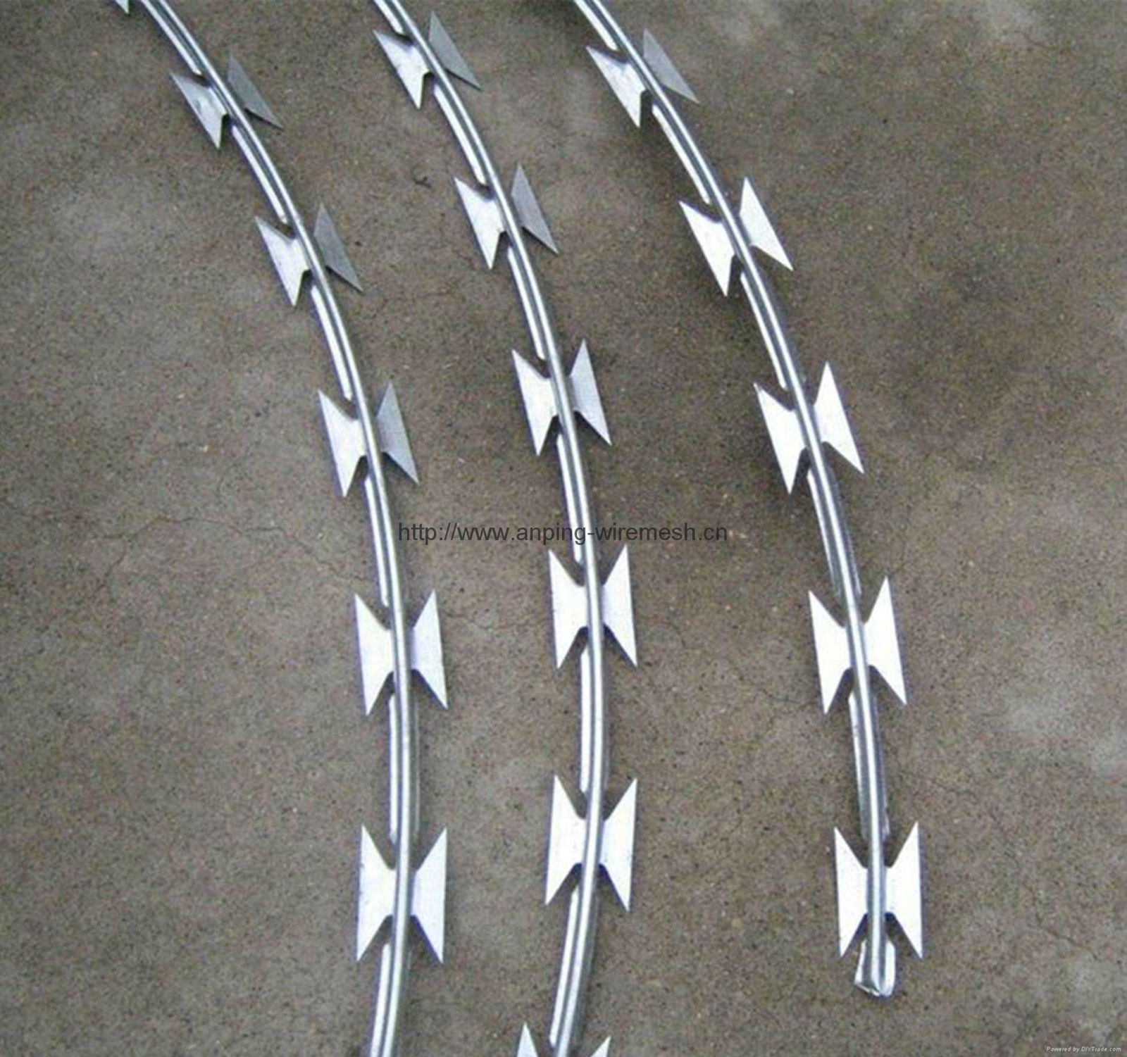 High quality-razor barbed wire 2