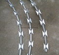 High quality-razor barbed wire 2