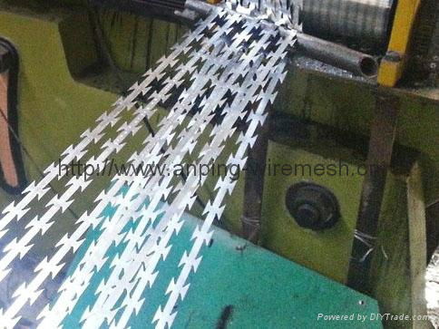High quality-razor barbed wire 5