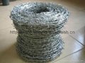 Good price-barbed wire 1