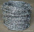 Good price-barbed wire 4