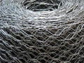 hexagonal wire mesh 1