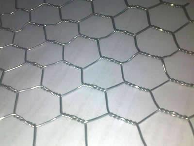 hexagonal wire mesh 4