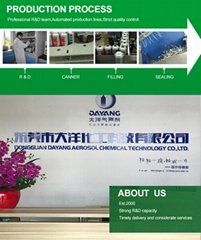Dongguan Dayang Aerosol Chemical Technonlgy Co., Ltd.
