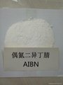 2,2'-Azobis(2-methylpropionitrile) manufacturer in China