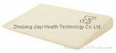 Zhejiang Jiayi Health Technology Co. Ltd. 