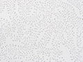 acoustic ceiling board price philippines 2