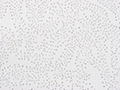 Acoustic Ceiling Board Price Philippines China Manufacturer