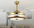 Ceiling fan with LED light 1