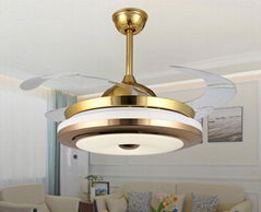 Ceiling fan with LED light