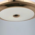 Ceiling fan with LED light 3