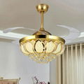 Luxury ceiling fan with light 2