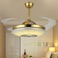 LED ceiling fan 1