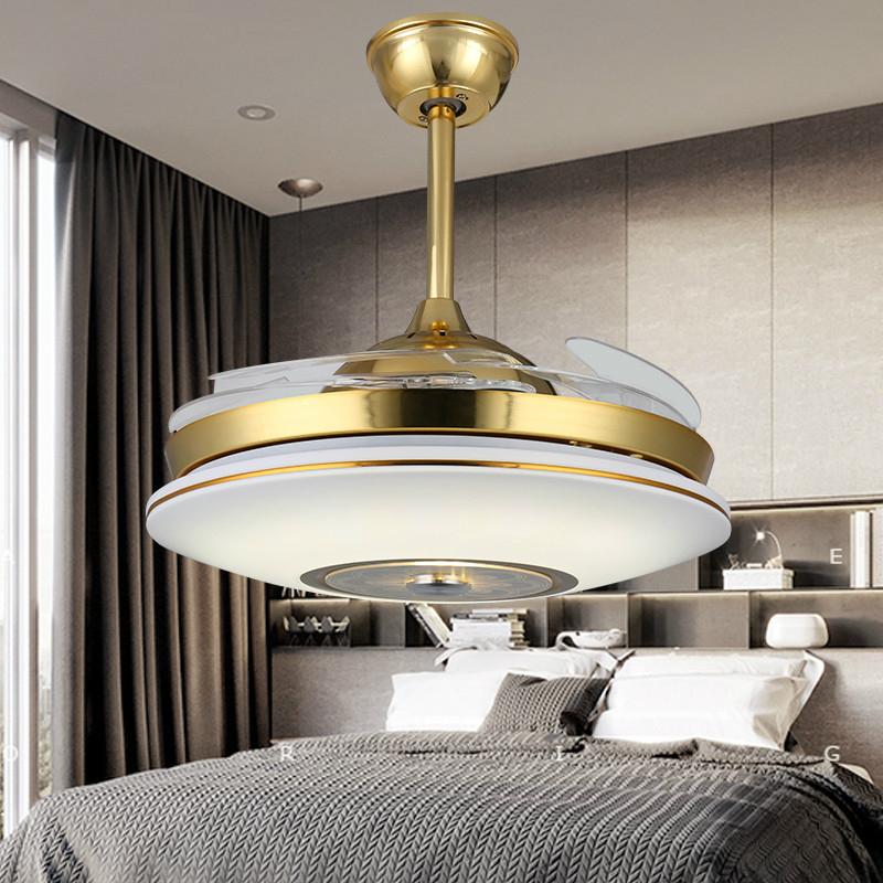 LED ceiling fan RB9974 OYD (China Manufacturer) Other Lights