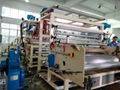 LLDPE Wrapping Film Making Plant 2