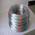 galvanized wire