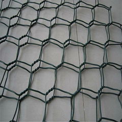 gabion mesh