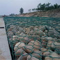 gabion mesh 5