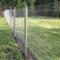 cattle fence 5