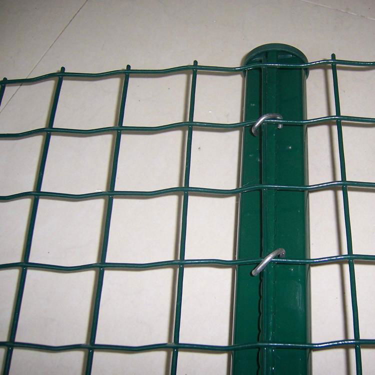 holland wire mesh 2