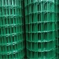 holland wire mesh