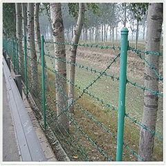 barbed wire fence