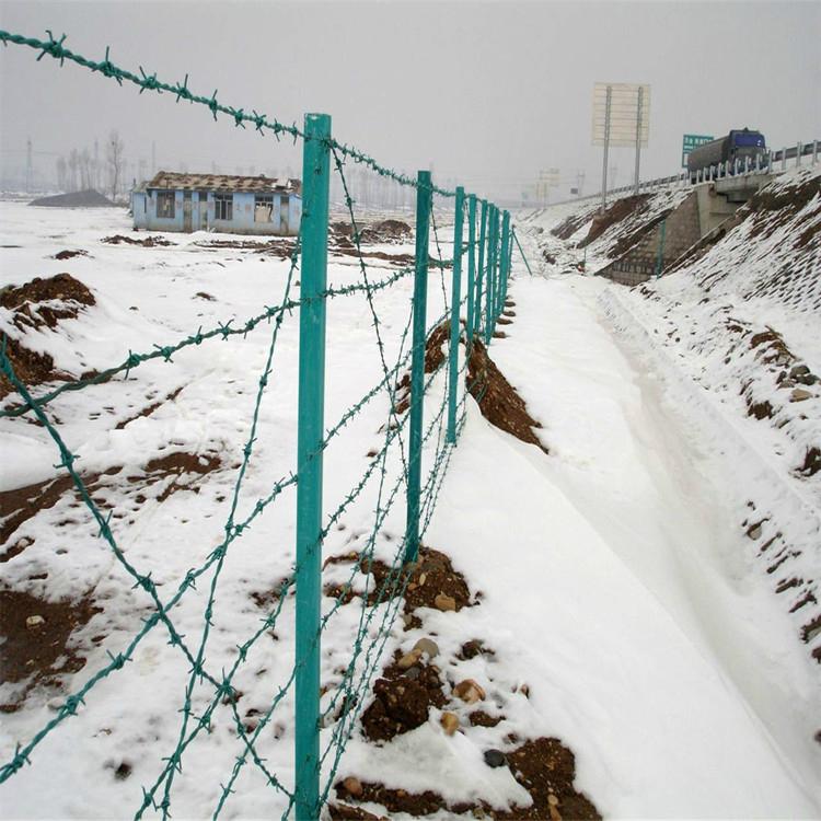 barbed wire fence 4