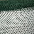 PVC coated chain link fence