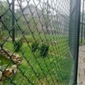 PVC coated chain link fence 3