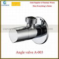 Brass Angle Valve 4