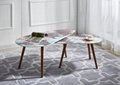 3D Marble Effect Modern Coffee Table Set