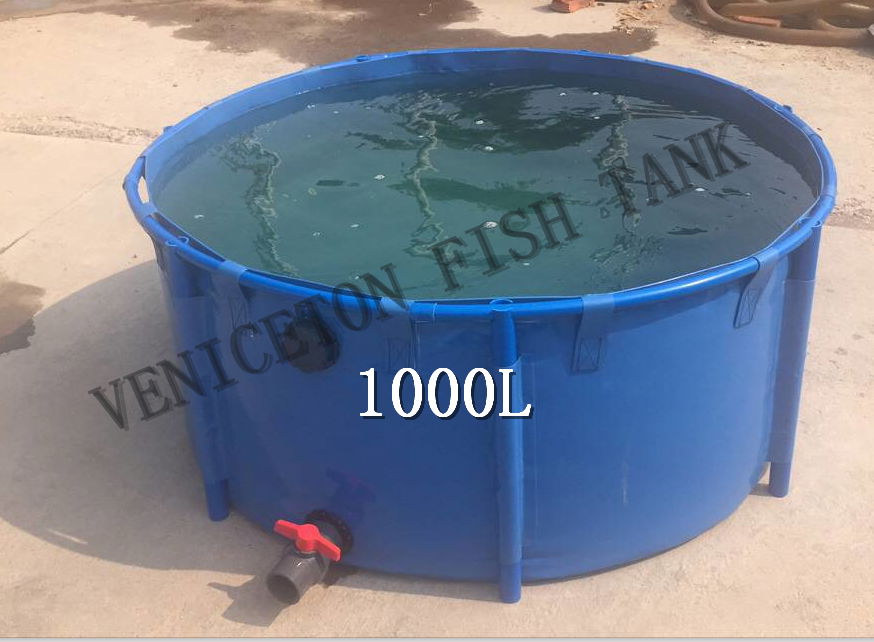 Veniceton 1000L  collapsible fish farm tank for fish farming  and kio fish show 