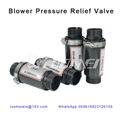 Air Blower Pressure Relief  Valve 1