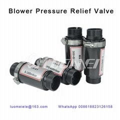 Air Blower Pressure Relief  Valve