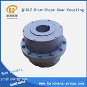 GICLZ Drum Shape Gear Coupling