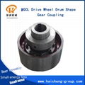 NGCL Drive Wheel Drum Shape Gear