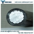 Overhead Insulated Cable